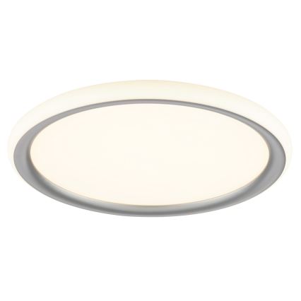 Brilliant - Plafon LED ściemnialny CARLOZ LED/16W/230V Ø 30 cm biały/szary