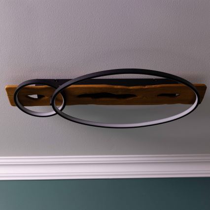Brilliant - ściemnialna lampa sufitowa LED PIRUS LED/30W/230V 30x70 cm figowiec kauczukowy