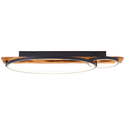 Brilliant - ściemnialna lampa sufitowa LED PIRUS LED/30W/230V 30x70 cm figowiec kauczukowy