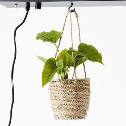 Brilliant - Żyrandol na lince BANKWOOD 5xE27/28W/230V topola