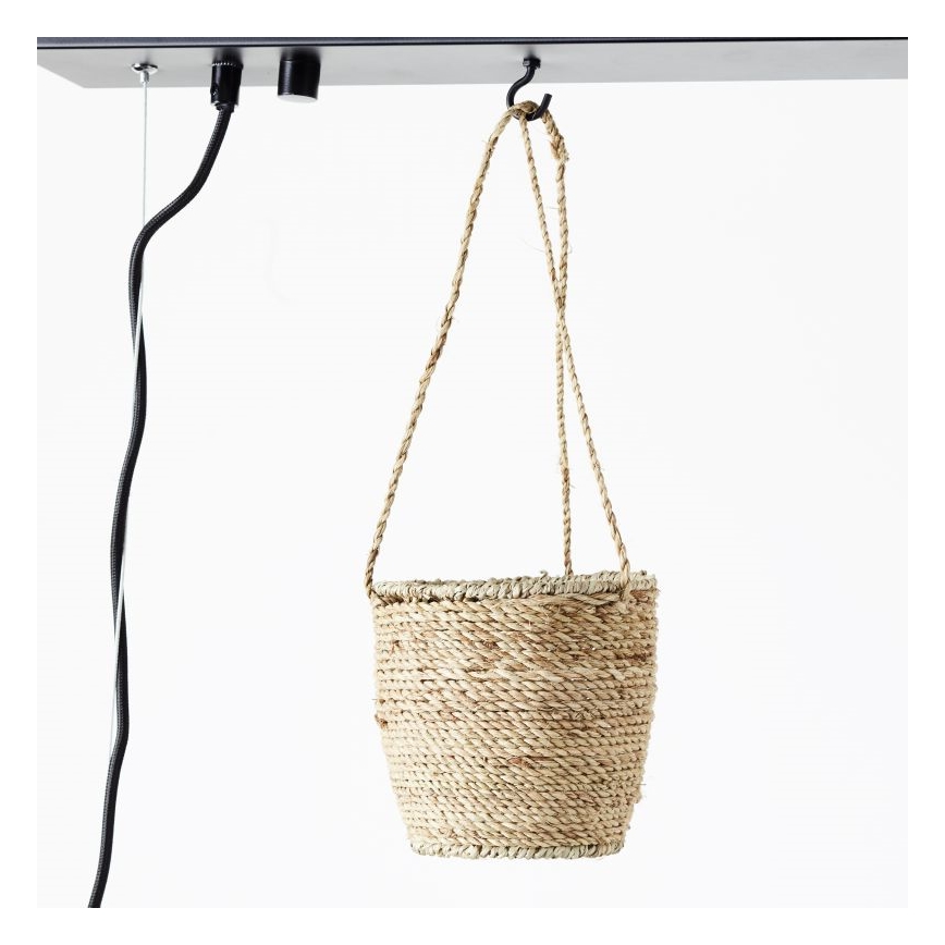 Brilliant - Żyrandol na lince BANKWOOD 5xE27/28W/230V topola