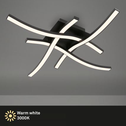 Brilo 3677-045 - Lampa sufitowa LED/14,4W/230V czarna