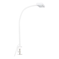 Brilo - LED Elastyczny Lampa stołowa z klipsem TRASNA LED/7,5W/230V biały