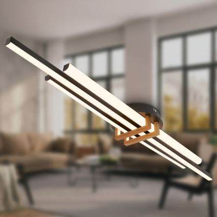 Brilo - LED Oprawa sufitowa TINKA LED/30W/230V 3000K czarna