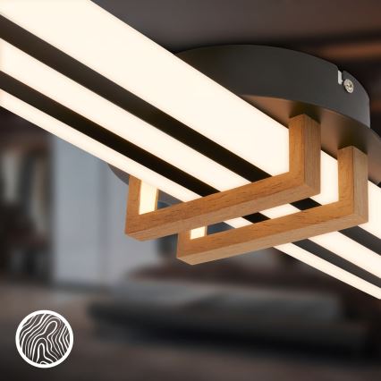 Brilo - LED Oprawa sufitowa TINKA LED/30W/230V 3000K czarna