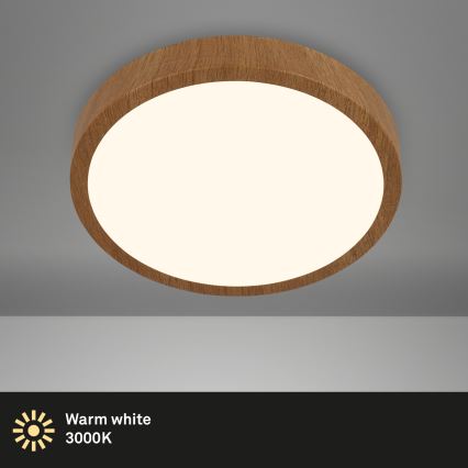 Brilo - LED Plafon RUNA LED/24W/230V