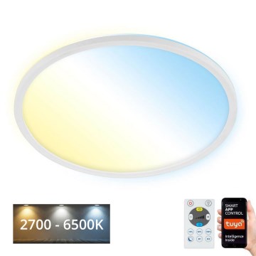 Brilo - LED Plafon ściemnialny SLIM LED/22W/230V 2700-6500K Wi-Fi Tuya + pilot zdalnego sterowania