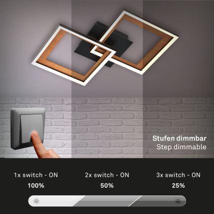 Brilo - LED Ściemnialny żyrandol natynkowy FRAME 2xLED/11W/230V