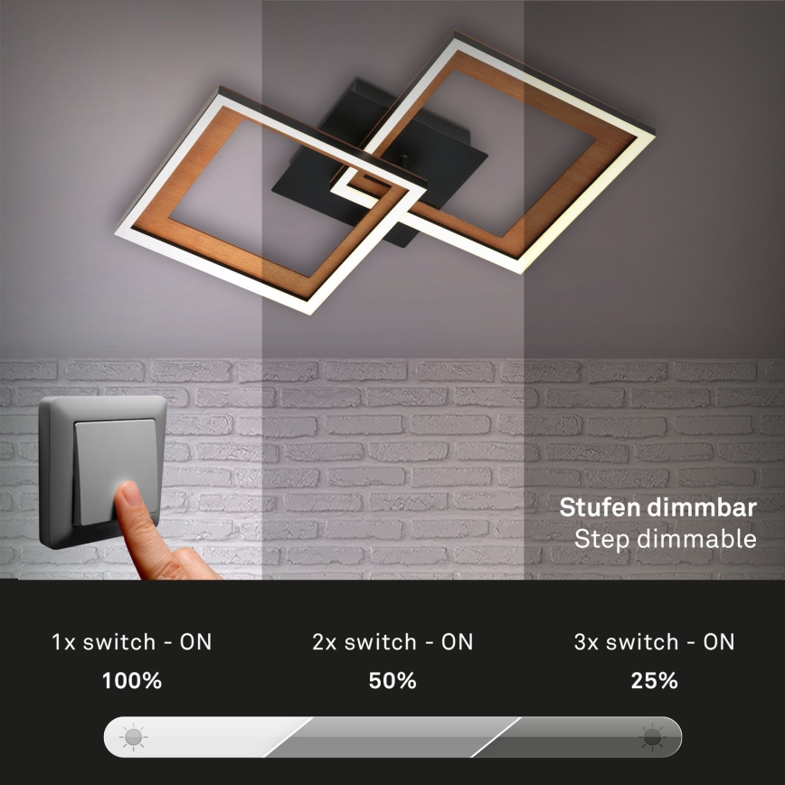 Brilo - LED Ściemnialny żyrandol natynkowy FRAME 2xLED/11W/230V