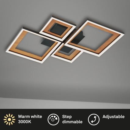 Brilo - LED Ściemnialny żyrandol natynkowy FRAME LED/38W/230V