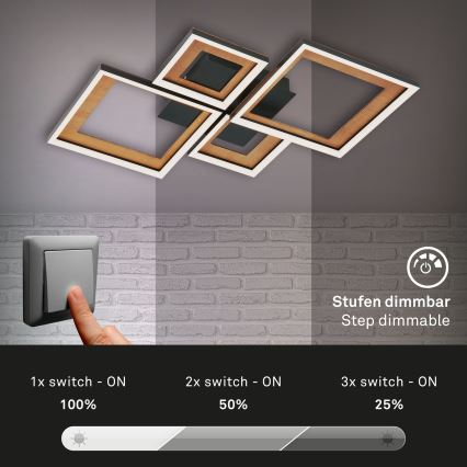 Brilo - LED Ściemnialny żyrandol natynkowy FRAME LED/38W/230V