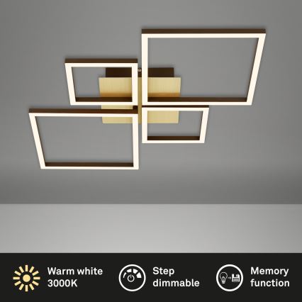 Brilo - LED Ściemnialny żyrandol natynkowy FRAME LED/44W/230V