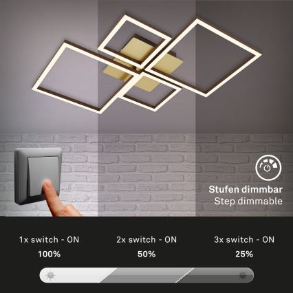 Brilo - LED Ściemnialny żyrandol natynkowy FRAME LED/44W/230V