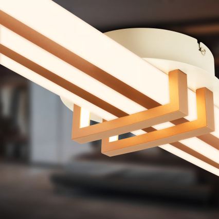 Brilo - Oprawa sufitowa LED TINKA LED/30W/230V 3000K miedziana