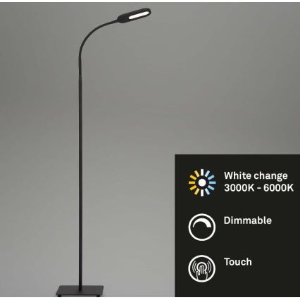 Briloner 1297-015 - LED Ściemnialna elastyczna lampa podłogowa LED/6,6W/230V 3000K/4000K/6000K
