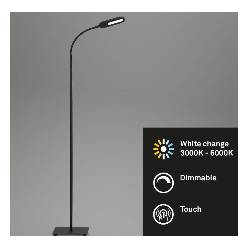 Briloner 1297-015 - LED Ściemnialna elastyczna lampa podłogowa LED/6,6W/230V 3000K/4000K/6000K