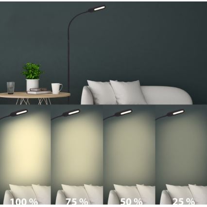 Briloner 1297-015 - LED Ściemnialna elastyczna lampa podłogowa LED/6,6W/230V 3000K/4000K/6000K