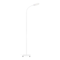 Briloner 1297-016 - LED Ściemnialna dotykowa lampa podłogowa LED/8W/230V 3000/4000/6000K