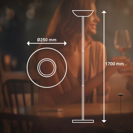 Briloner 1500015 - ściemniana lampa stojąca LED ESTATE LED/8W/5V 4000 mAh czarna