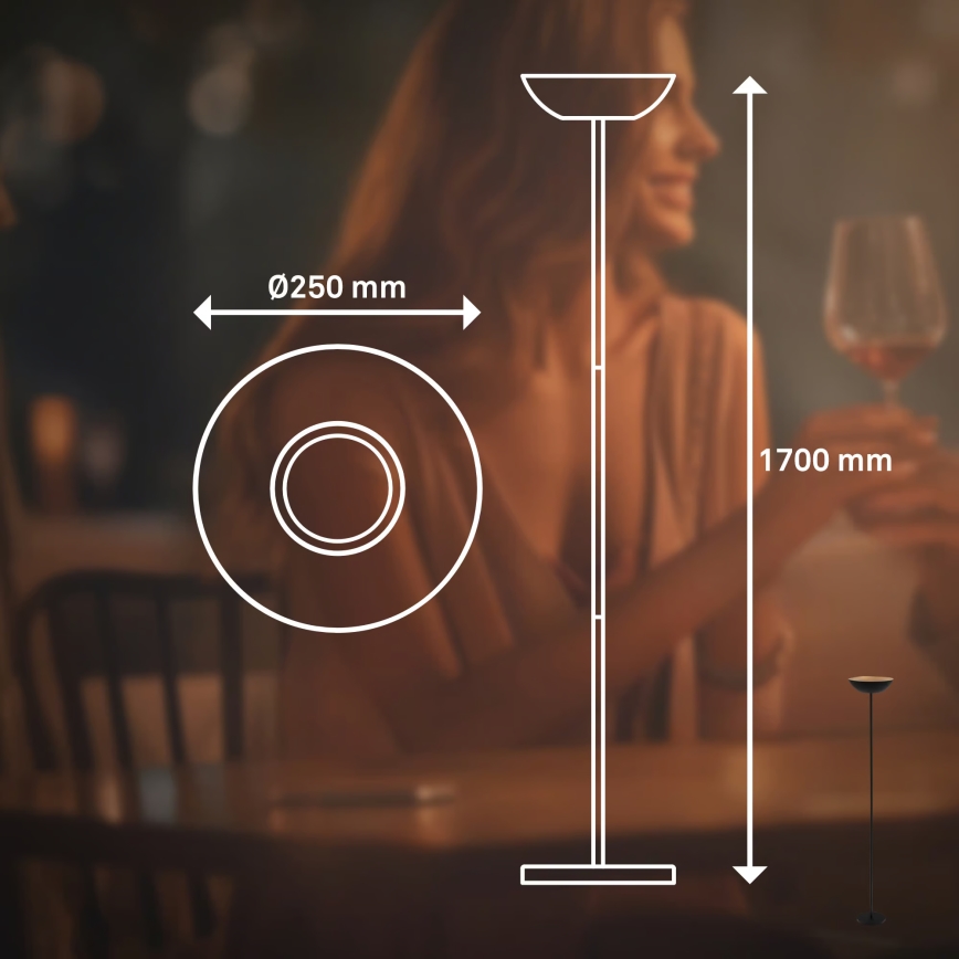 Briloner 1500015 - ściemniana lampa stojąca LED ESTATE LED/8W/5V 4000 mAh czarna