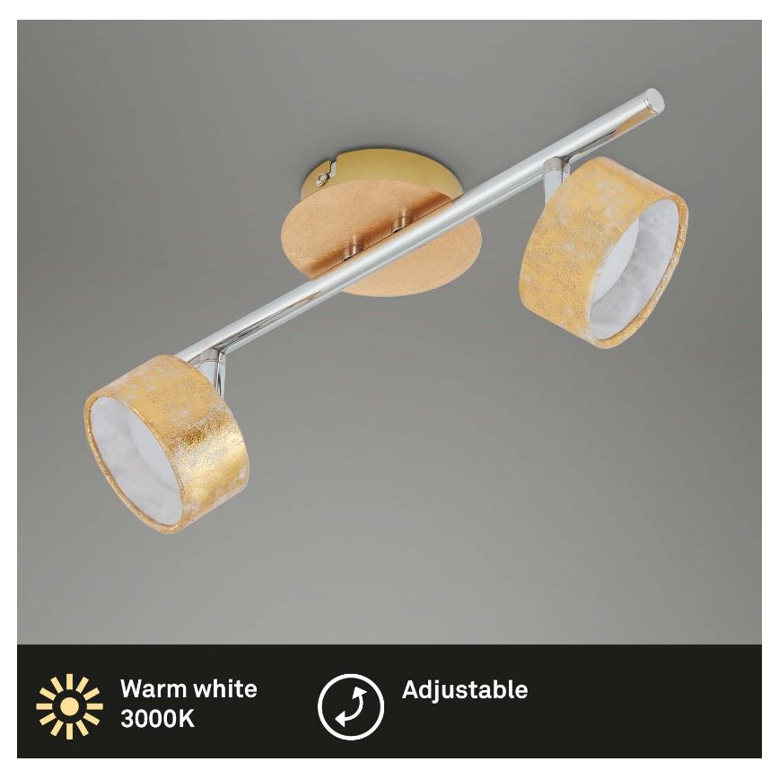 Briloner 2038-027 - LED Oświetlenie punktowe ANNA 2xLED/5W/230V