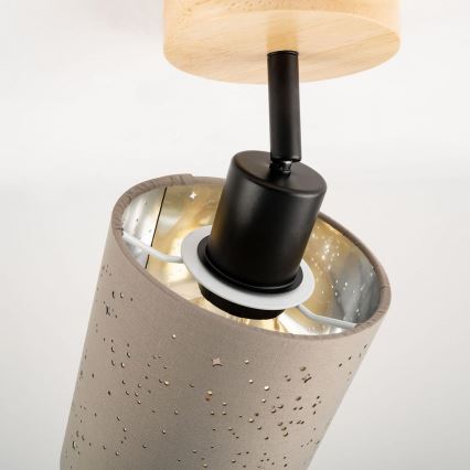 Briloner 2078-011 - Kinkiet punktowy SPOTLIGHT 1xE27/25W/230V beżowy