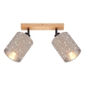 Briloner 2078-021 - Oświetlenie punktowe SPOTLIGHT 2xE27/25W/230V beżowe