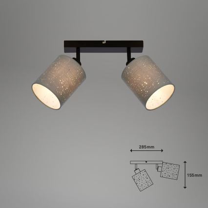 Briloner 2078-024 - Oświetlenie punktowe SPOTLIGHT 2xE27/25W/230V szare/czarne