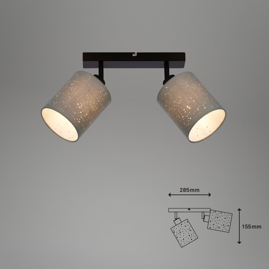 Briloner 2078-024 - Oświetlenie punktowe SPOTLIGHT 2xE27/25W/230V szare/czarne