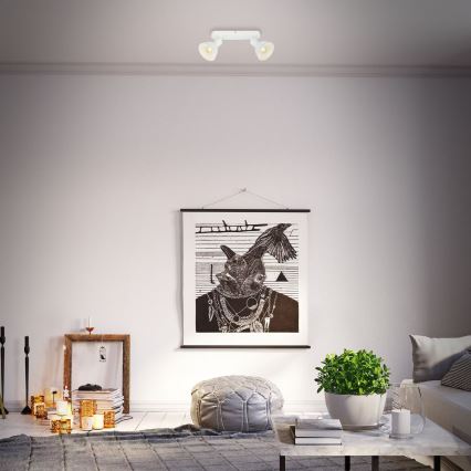 Briloner 2674-026 - Oświetlenie punktowe RETRO 2xE14/25W/230V biały