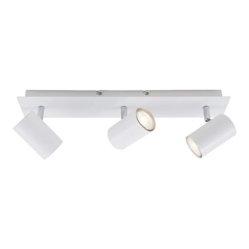 Briloner 2857-036 - Reflektor SPOT 3xGU10/40W/230V biały