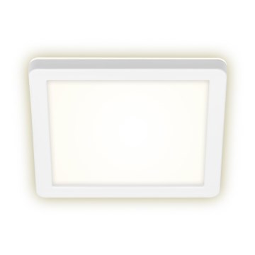 Briloner 3010-016 - LED Plafon LED/8W/230V 19x19 cm biały IP44