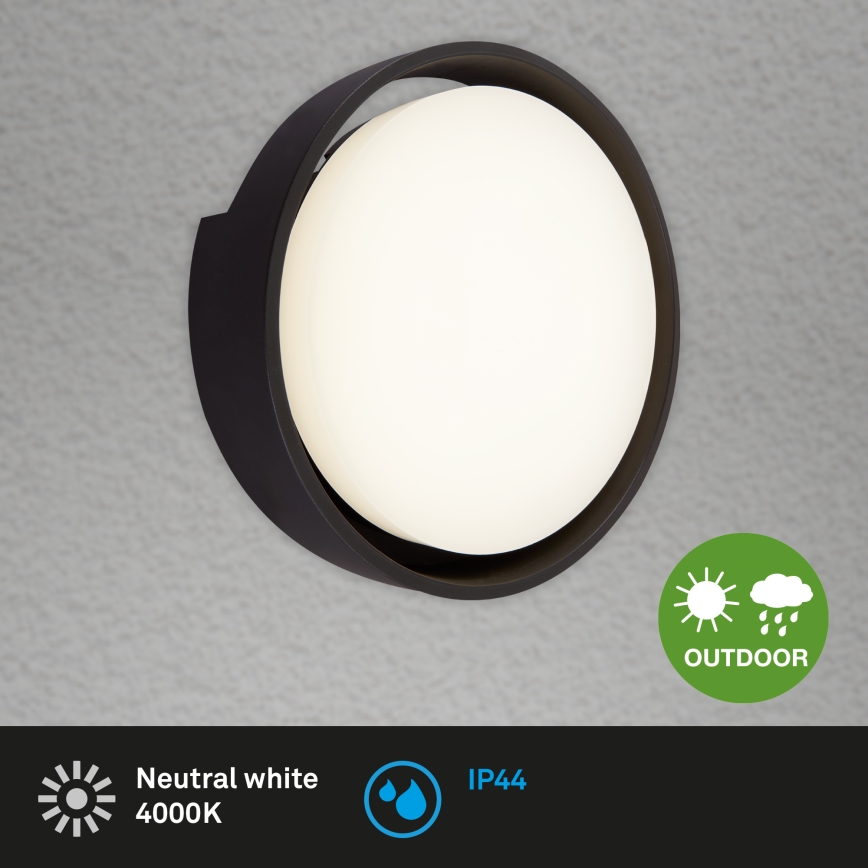 Briloner 3019-015 - LED Kinkiet zewnętrzny GENUA LED/18W/230V IP44 czarny