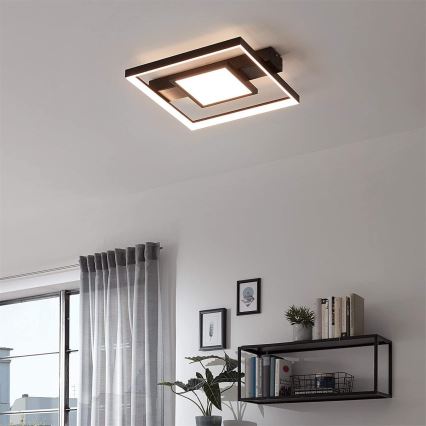 Briloner 3028-015 - LED Plafon ściemnialny FRAME LED/38W/230V