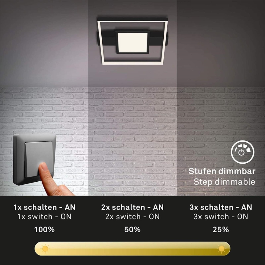 Briloner 3028-015 - LED Plafon ściemnialny FRAME LED/38W/230V