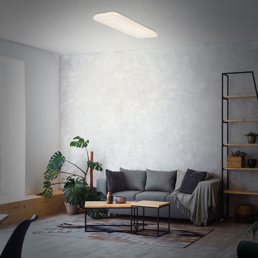 Briloner 3040-016 - LED Plafon ściemnialny RUPA LED/24W/230V