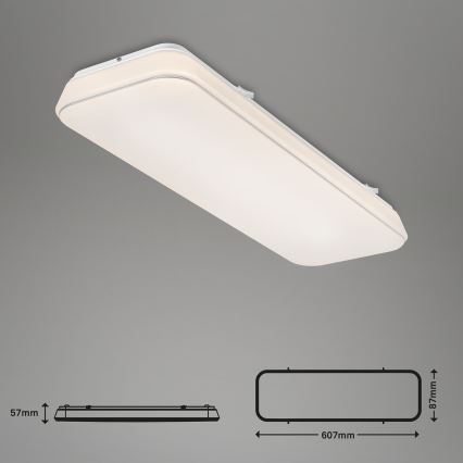 Briloner 3040-016 - LED Plafon ściemnialny RUPA LED/24W/230V