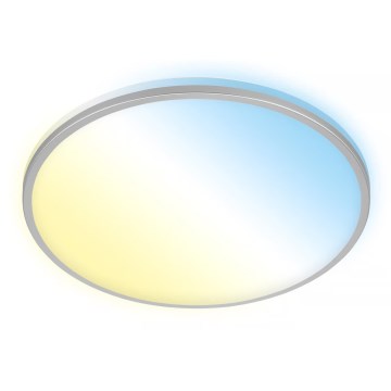 Briloner 3064-014 - LED Ściemnialna oprawa sufitowa IVY LED/24W/230V Wi‑Fi Tuya śr. 33,3 cm + pilot zdalnego sterowania