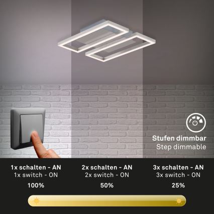 Briloner 3107-012 - LED Plafon ściemnialny FRAME 2xLED/7,25W/230V