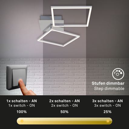 Briloner 3182-018 - LED Plafon ściemnialny FRAME 2xLED/15,5W/230V