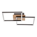 Briloner 3210-014 - LED Plafon ściemnialny FRAME 2xLED/11W/230V brązowy