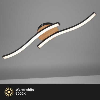 Briloner 3449-014 - LED Plafon GO 2xLED/6W/230V