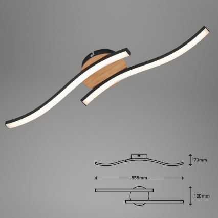 Briloner 3449-014 - LED Plafon GO 2xLED/6W/230V