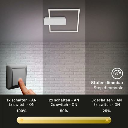 Briloner 3544-018 - LED Plafon ściemnialny NICO LED/12W/230V matowy chrom