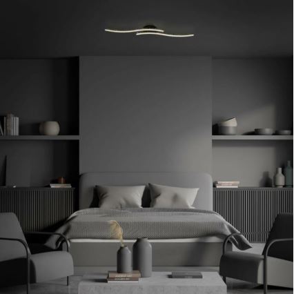 Briloner 3718-025 - LED Żyrandol natynkowy REY 2xLED/6W/230V czarny