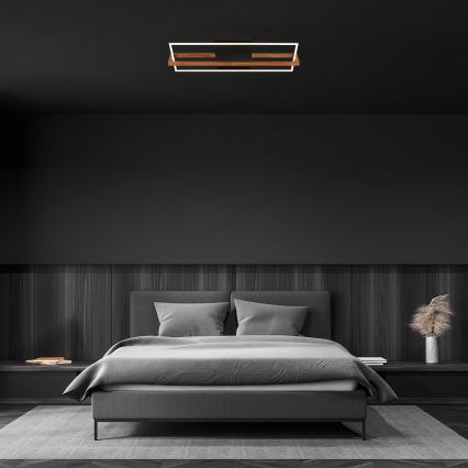 Briloner 3777-015 - Oprawa sufitowa LED FRAME LED/21W/230V 3000K czarna