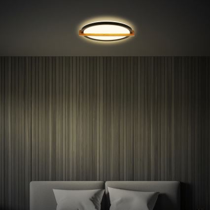 Briloner 3844015 - Lampa sufitowa LED/18W/230V śr. 31,5 cm