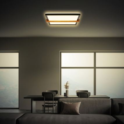 Briloner 3845015 - LED lampa sufitowa LED/18W/230V 29,5x31,5 cm