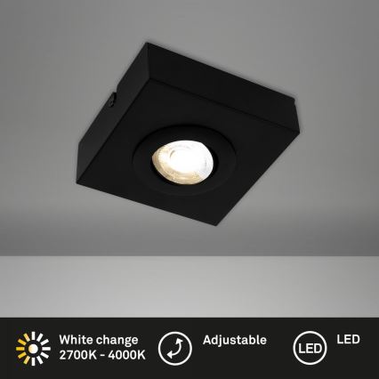 Briloner 3996015 - LED Oświetlenie punktowe CTS LED/4W/230V 2700/4000K czarny