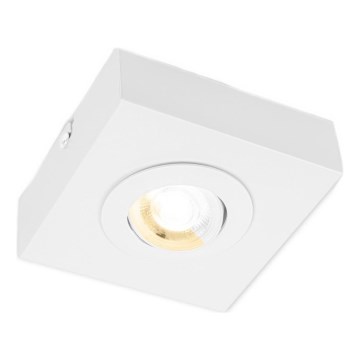 Briloner 3996016 - LED Oświetlenie punktowe CTS LED/4W/230V 2700/4000K biały